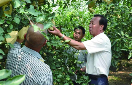 楊雙牛：40年深耕，石頭縫里長出億元產業(yè)