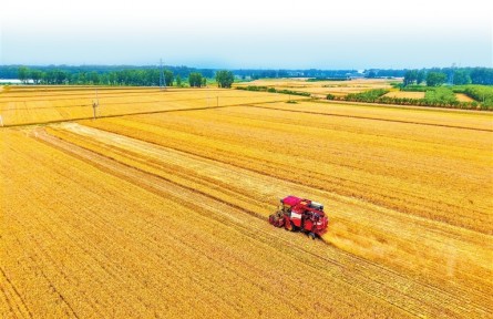 奮力書寫“中國飯碗”的河南擔(dān)當(dāng)