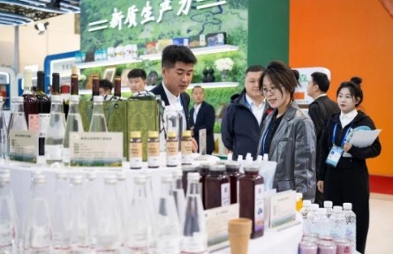 黑龍江：踐行大食物觀 豐盈“森林糧庫”