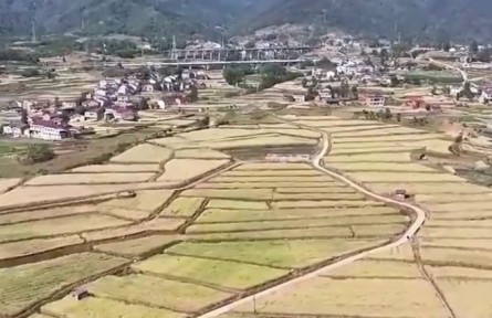 【在希望的田野上·三夏時節(jié)】各地?fù)屪ハ氖障姆N 夯實糧食豐收基礎(chǔ)