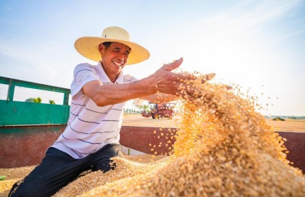 智能農(nóng)業(yè)“慧”豐收