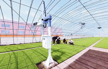 以發(fā)展新質(zhì)生產(chǎn)力塑造全面振興新優(yōu)勢