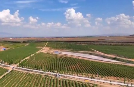 寧夏枸杞產(chǎn)業(yè)實(shí)現(xiàn)全鏈條科技升級