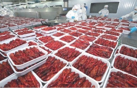 “小龍蝦自由”進入下半場