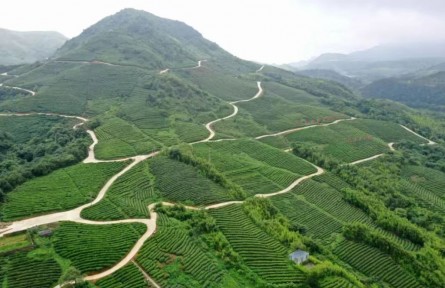 貴州黔南州：錨定農(nóng)業(yè)支撐產(chǎn)業(yè) 進(jìn)一步夯實(shí)鄉(xiāng)村振興基礎(chǔ)