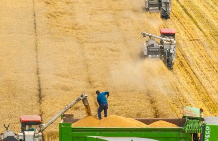 蓄足“水動(dòng)力” 多地抗旱保糧一線(xiàn)觀(guān)察