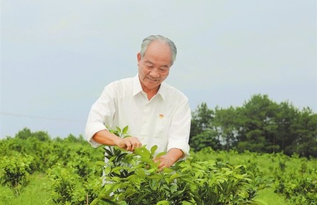 全國道德模范袁守根：一生種好一棵樹