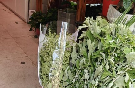 身價(jià)大漲！艾草花束成年輕人的端午“新寵”