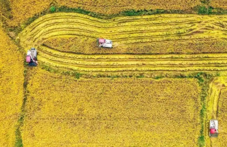 湖北：6.5萬(wàn)臺(tái)農(nóng)機(jī)共享北斗服務(wù)平臺(tái) 農(nóng)機(jī)手像網(wǎng)約車司機(jī)一樣接單