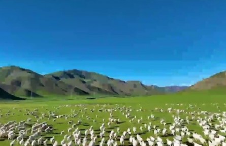 青海：科技賦能綠色發(fā)展 實干擔當書寫“三農(nóng)”新答卷