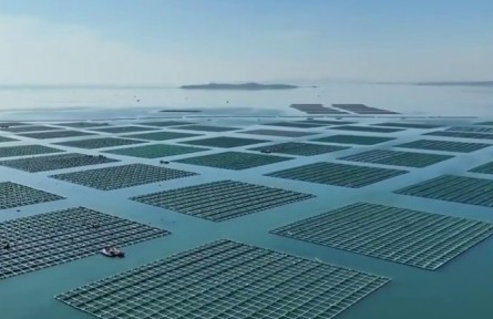 遼寧：建設(shè)海洋牧場 充實“藍色糧倉”