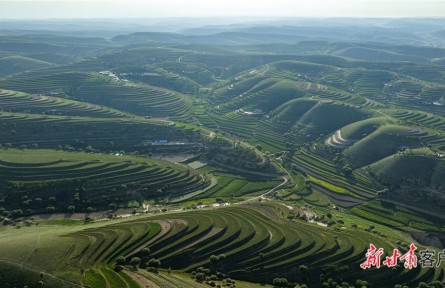 甘肅：久久為功 譜寫“三北”工程新篇章