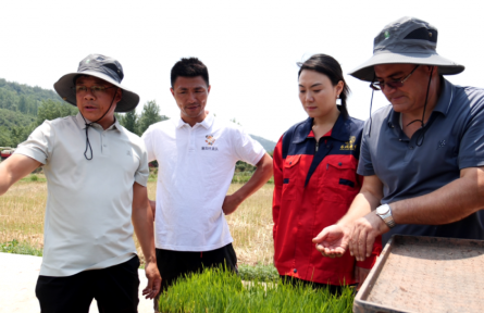 湖北南漳：生態(tài)賦能+創(chuàng)新破局 “一粒米”撬動(dòng)鄉(xiāng)村振興新圖景