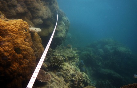 科技名詞|掃海測量 wire drag survey，sweep