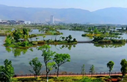 呵護(hù)“高原之腎” 云南系統(tǒng)推進(jìn)高原濕地保護(hù)修復(fù)