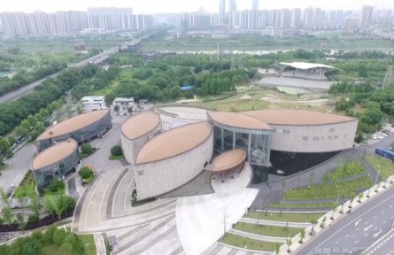 從“授人以漁”到“共享豐收”——中非農(nóng)業(yè)合作譜寫發(fā)展新篇