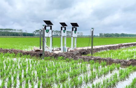 北斗導(dǎo)航繪制“豐收?qǐng)D景” 農(nóng)機(jī)馳騁助力“三夏”顆粒盡歸倉(cāng)