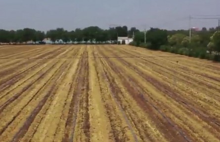 陜西：科技賦能節(jié)水灌溉 有序推進(jìn)夏播生產(chǎn)