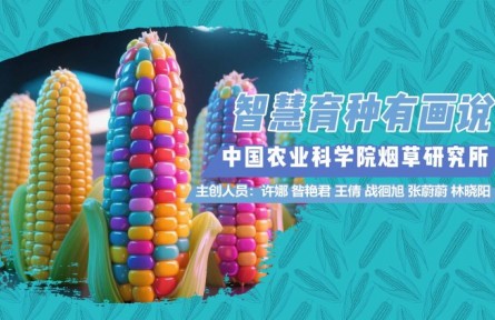 智慧育種有畫說(shuō)