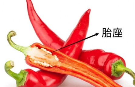 辟謠|辣椒最辣的部位是籽？這是真的嗎？