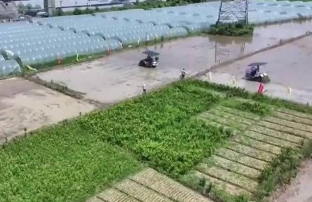 【在希望的田野上·三夏時節(jié)】全國已夏播糧食2.7億畝 進度過半