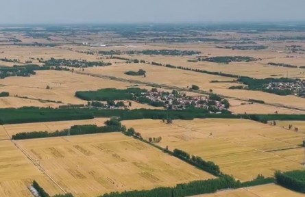 山東：黃河故道低產(chǎn)沙土地變沃土良田