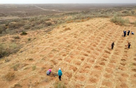 甘肅古浪：深耕治沙“織綠” 筑牢生態(tài)安全屏障