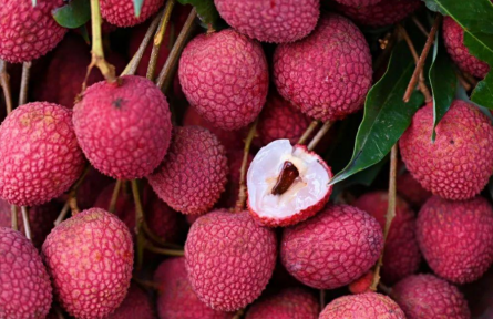 福建的荔枝，包甜的！