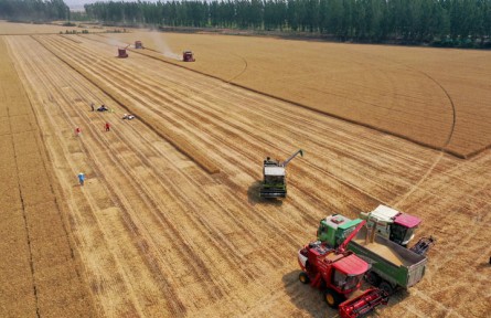 讓更多“豐收在望”變成“豐收到手”——“三夏”機(jī)收減損一線觀察