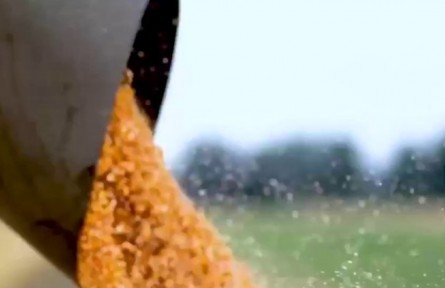 甘肅：提質(zhì)增效 全力建設(shè)全國(guó)現(xiàn)代寒旱特色農(nóng)業(yè)先行基地