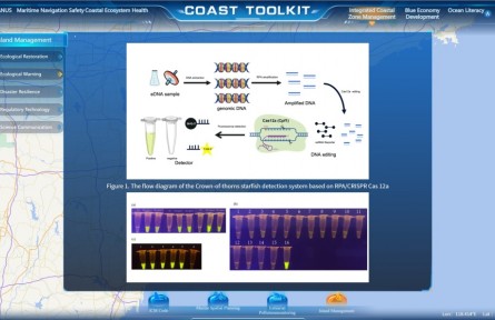 我國海島治理成果亮相聯(lián)合國海洋大會