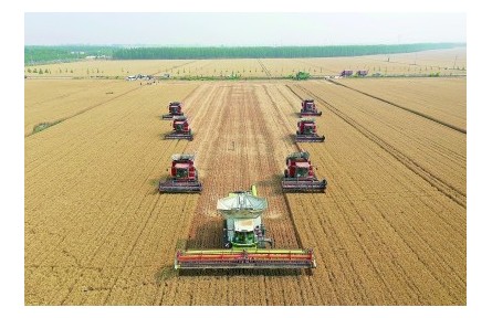 生產(chǎn)方式整個(gè)變了！瞧，夏收這些新鮮事