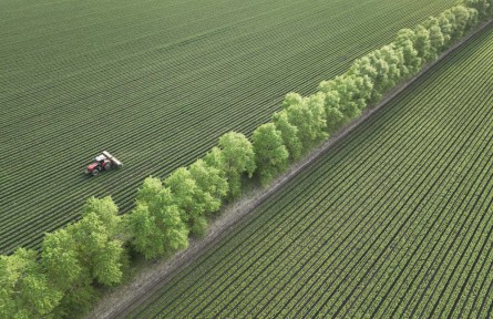 全國(guó)“土地日”|像保護(hù)大熊貓一樣保護(hù)黑土地