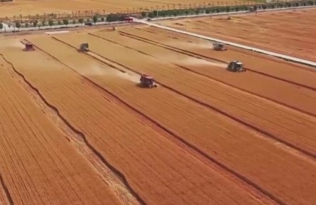 【新思想引領(lǐng)新征程】嚴守耕地紅線 提升耕地質(zhì)量