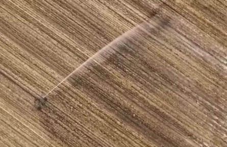 夏播糧食近八成 夏管有序推進