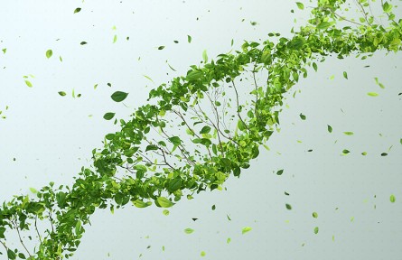 科技名詞|生長因子 growth factor，GF