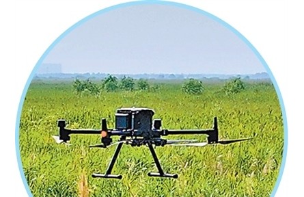 愛鳥護鳥，這些科技手段在助力