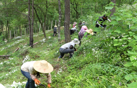 湖北?？担毫窒陆洕a值突破9億元