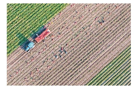 “三農(nóng)”摸底新變化