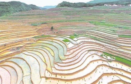 貴州六盤水：“三夏”生產念好“良”字訣