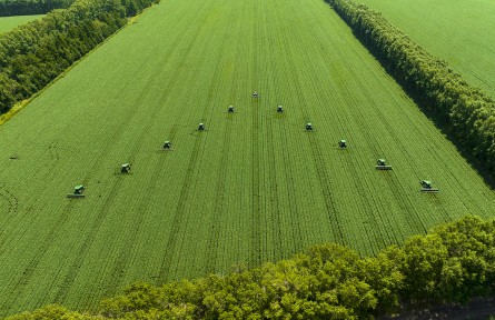 黑龍江：以定制農(nóng)業(yè)高質(zhì)量發(fā)展推動農(nóng)業(yè)強省建設(shè)