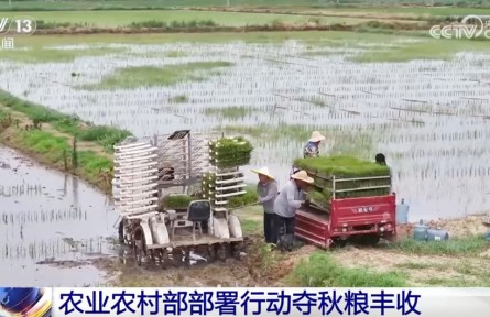 全力以赴打牢秋糧豐收基礎(chǔ) 奮戰(zhàn)100天防汛抗災(zāi)、抓夏管、提單產(chǎn)