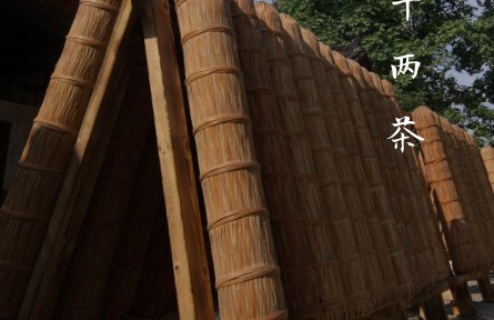 一柱千兩茶，半部茶葉史