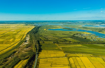 黑龍江：大力發(fā)展定制農(nóng)業(yè) 開辟鄉(xiāng)村振興新路徑