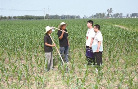 河南護(hù)航高標(biāo)準(zhǔn)農(nóng)田建設(shè) 筑牢糧食安全根基