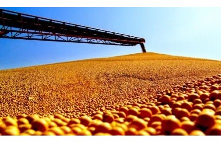 黑龍江黑河：聚才強豆賦能產(chǎn)業(yè)騰飛