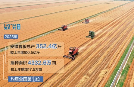 2025年安徽夏糧總產(chǎn)352.4億斤 居全國(guó)第三
