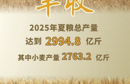 2994.8億斤！2025年夏糧“成績(jī)單”出爐