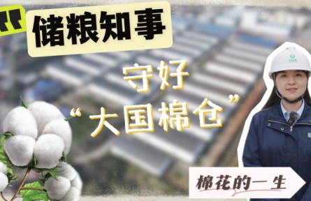 走進(jìn)中央儲(chǔ)備棉庫：見證棉花如何被精心守護(hù)
