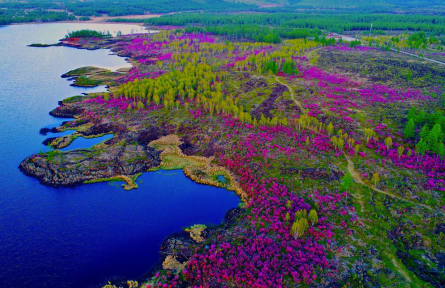 內(nèi)蒙古興安盟：巍巍大興安嶺 夢幻阿爾山
